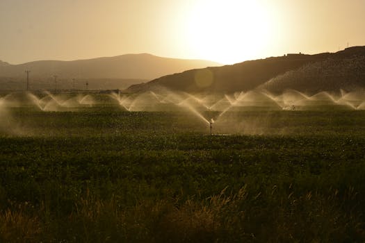 Unlocking the Full Potential: What If Your Garden Knew Exactly When to Drink?