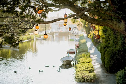 Navigating California’s Legal Landscape: Your Essential Guide to Attorney Lookup