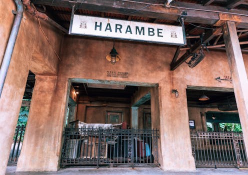 When the Unexpected Strikes: Securing Your Future with an Orlando Accident Attorney