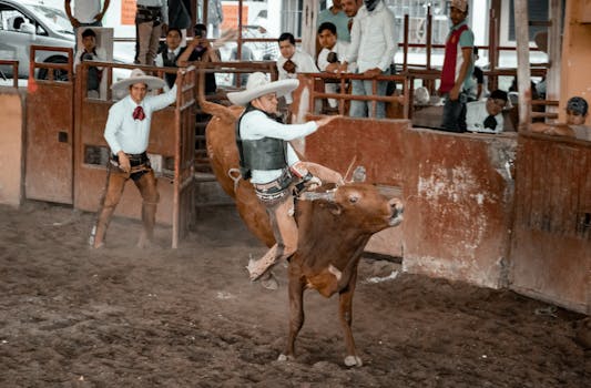 The Lone Star State’s Wager: What’s Next for Sports Betting Apps in Texas?