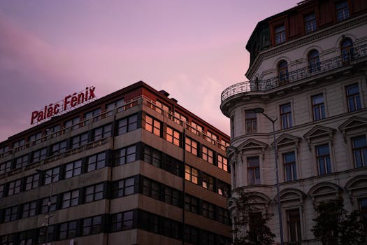 Your Backyard’s Best Friend: Unpacking the Magic of “Landscape Business Near Me”