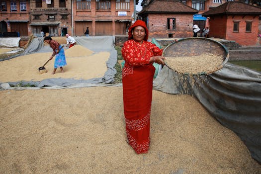 Beyond the Dog Park: Unearthing the Lucrative Poop Scooping Business