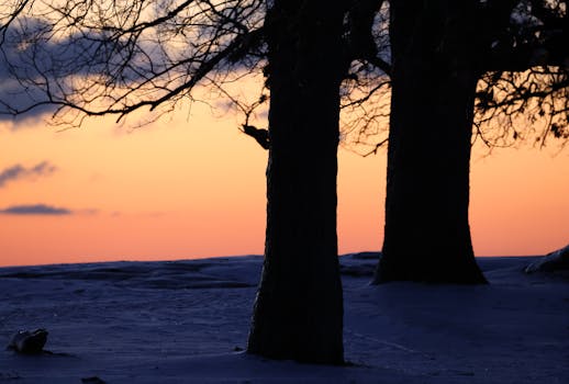 Cultivating Growth: A Deep Dive into the Frost Early Education Center Framework