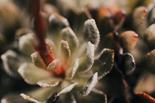 Don’t Let Your Garden Go With the Flow (Or Get Washed Away!)
