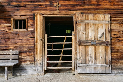 Beyond Just Keeping the Cold Out: The True Impact of Sustainable Wall Insulation