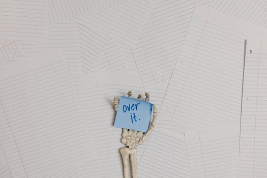 Mastering Lufthansa’s Airbus A330-300 Business Class: Your Practical Guide to a Superior Flight